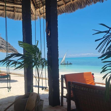 Garden Beach Bungalows Jambiani ジャンビアニ エクステリア 写真