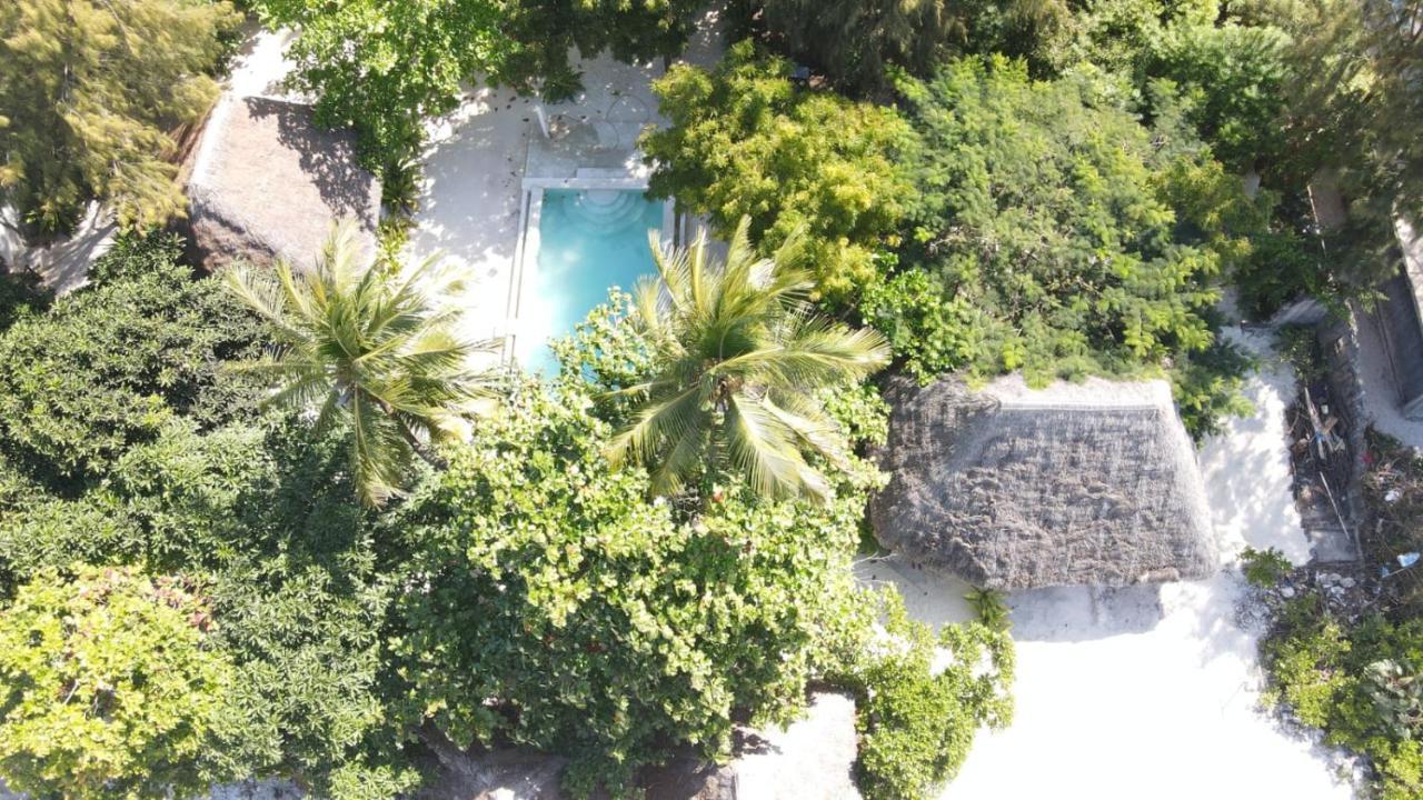 Garden Beach Bungalows Jambiani ジャンビアニ エクステリア 写真