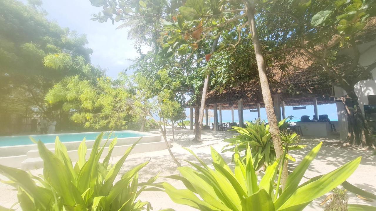Garden Beach Bungalows Jambiani ジャンビアニ エクステリア 写真
