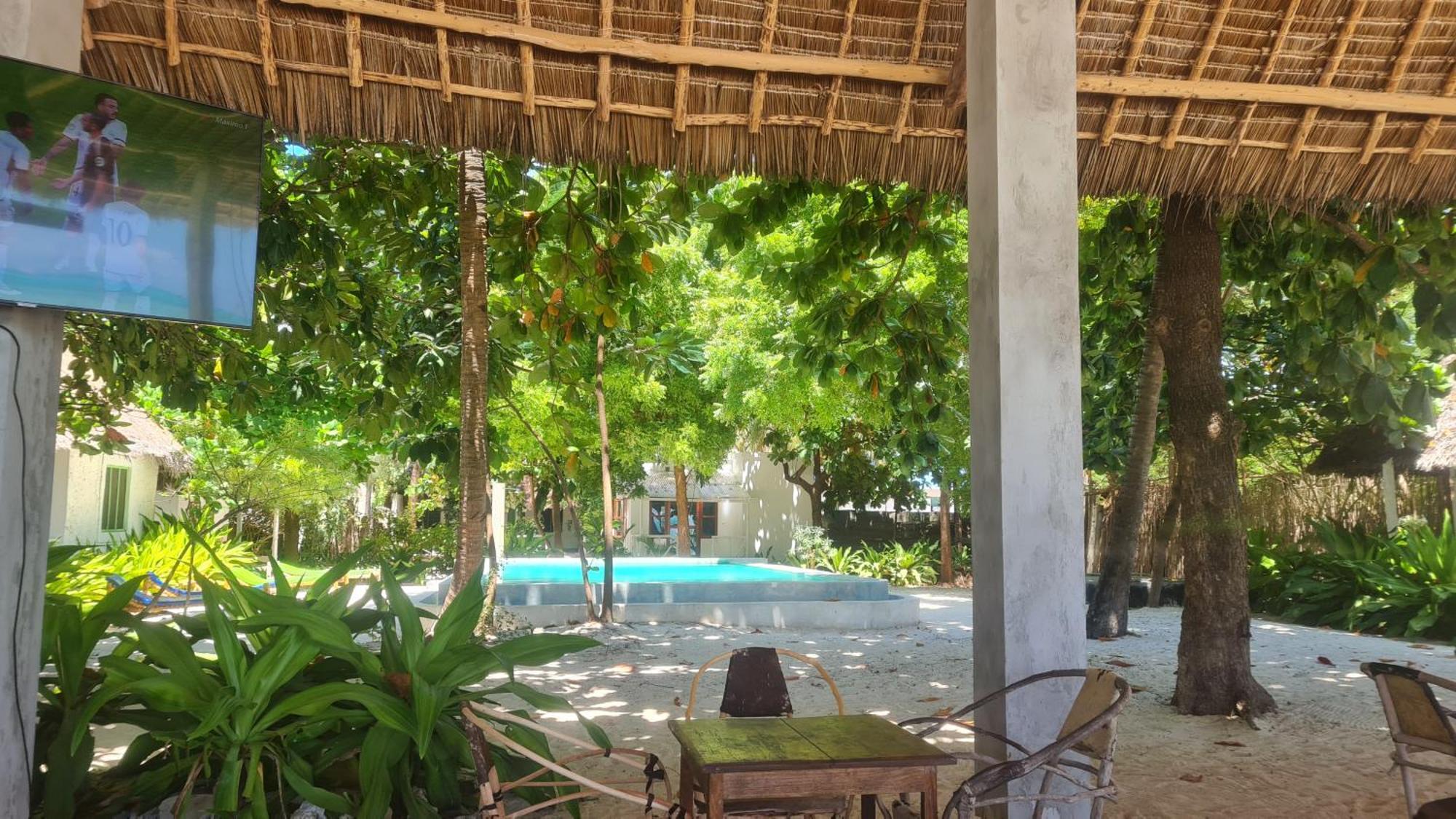 Garden Beach Bungalows Jambiani ジャンビアニ エクステリア 写真