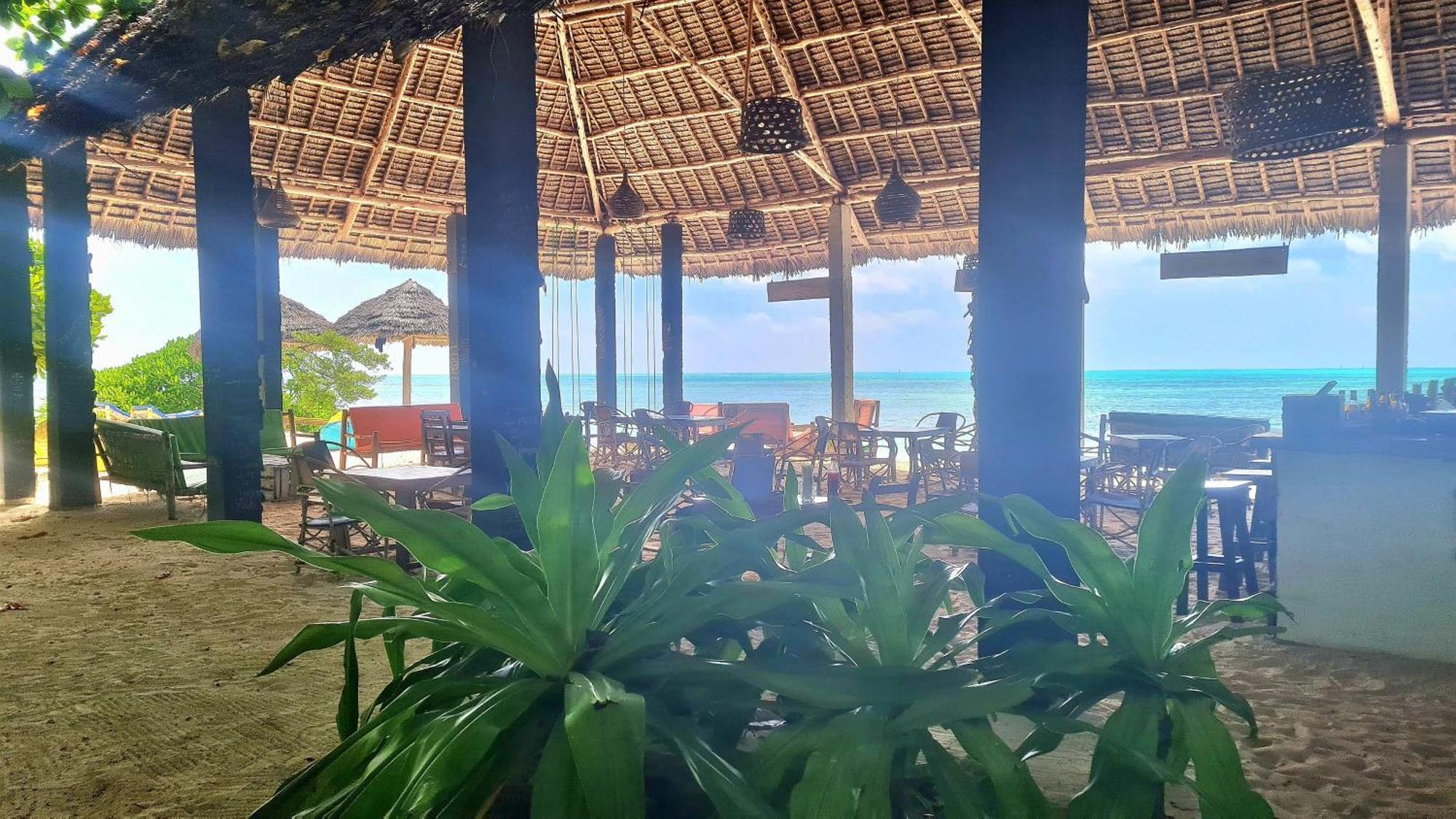 Garden Beach Bungalows Jambiani ジャンビアニ エクステリア 写真